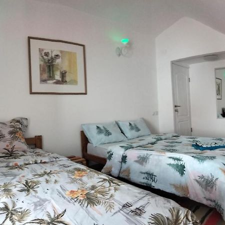 Apartmán Doi Iepuri Azuga Exteriér fotografie
