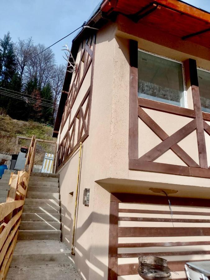 Apartmán Doi Iepuri Azuga Exteriér fotografie
