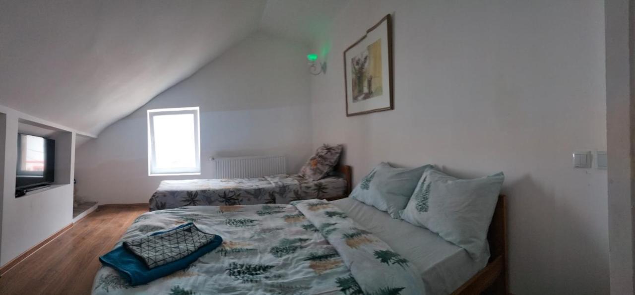 Apartmán Doi Iepuri Azuga Exteriér fotografie
