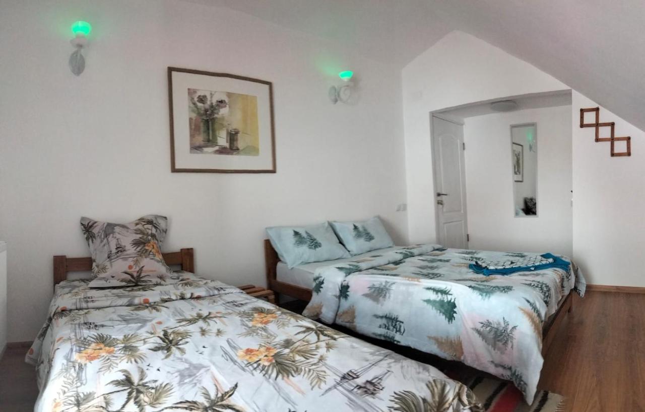 Apartmán Doi Iepuri Azuga Exteriér fotografie