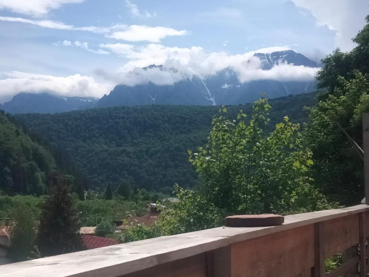 Apartmán Doi Iepuri Azuga Exteriér fotografie